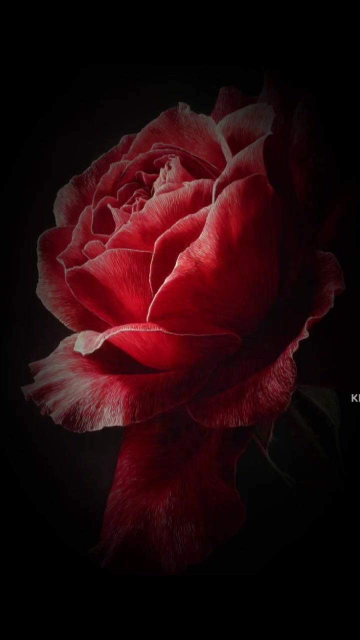 @user8123701182915. jan pakhi
