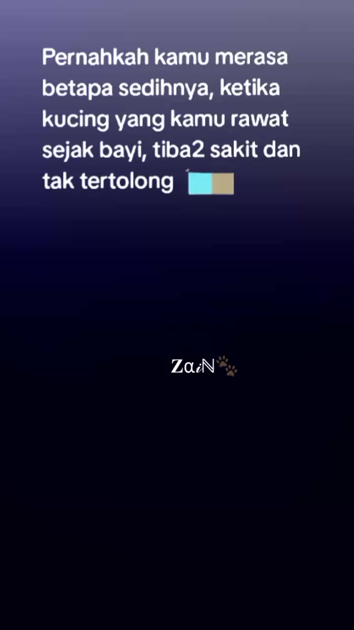 @𝐙&alpha;𝒾ℕ🐾