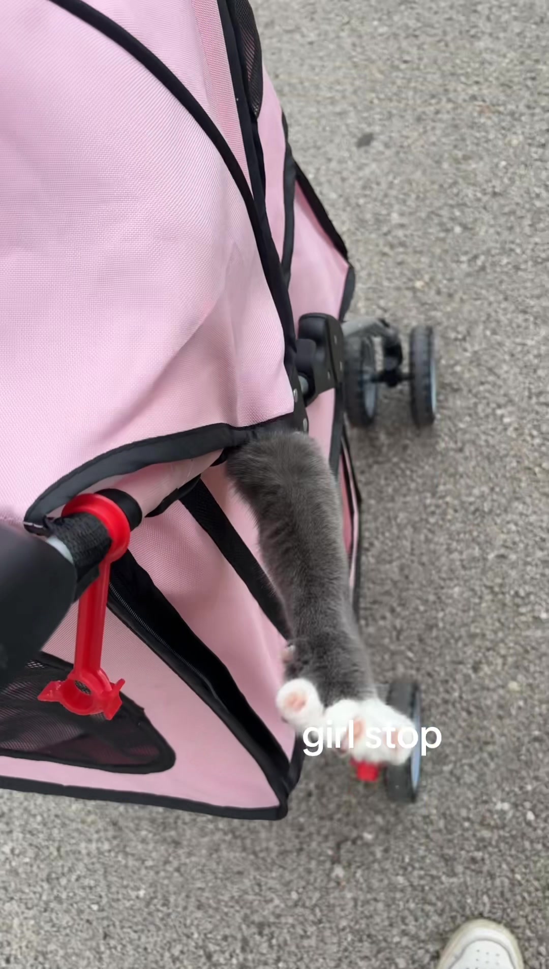 @maryyy🍄🧚🌙🐈⬛