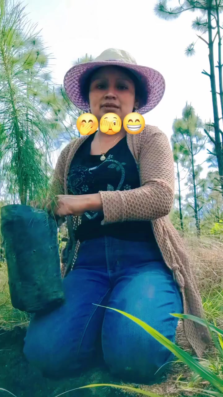 @Marypol
