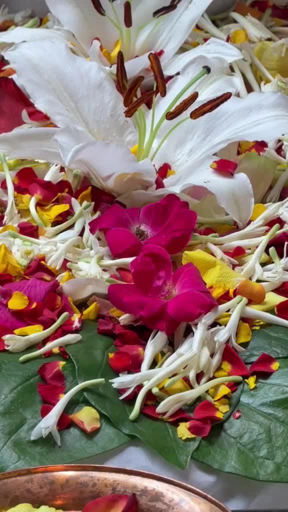@Vikas Sharma