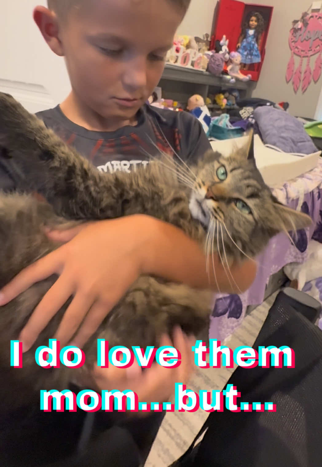 @RoxySnowballCatDrama