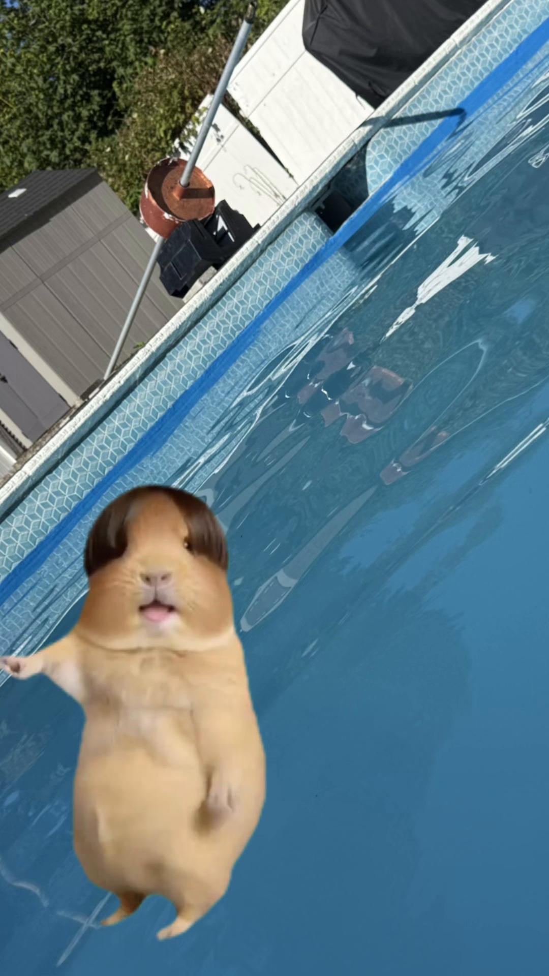@๐ฒ๐ฝโค๏ธ๐ฅโ๐๐ค๐ค๐ช๐บ๐ธ๐ค