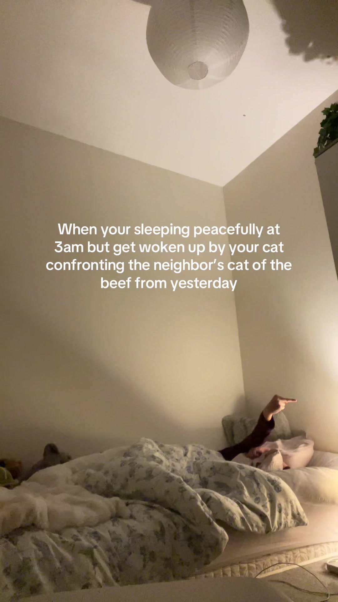 @lanaaa
