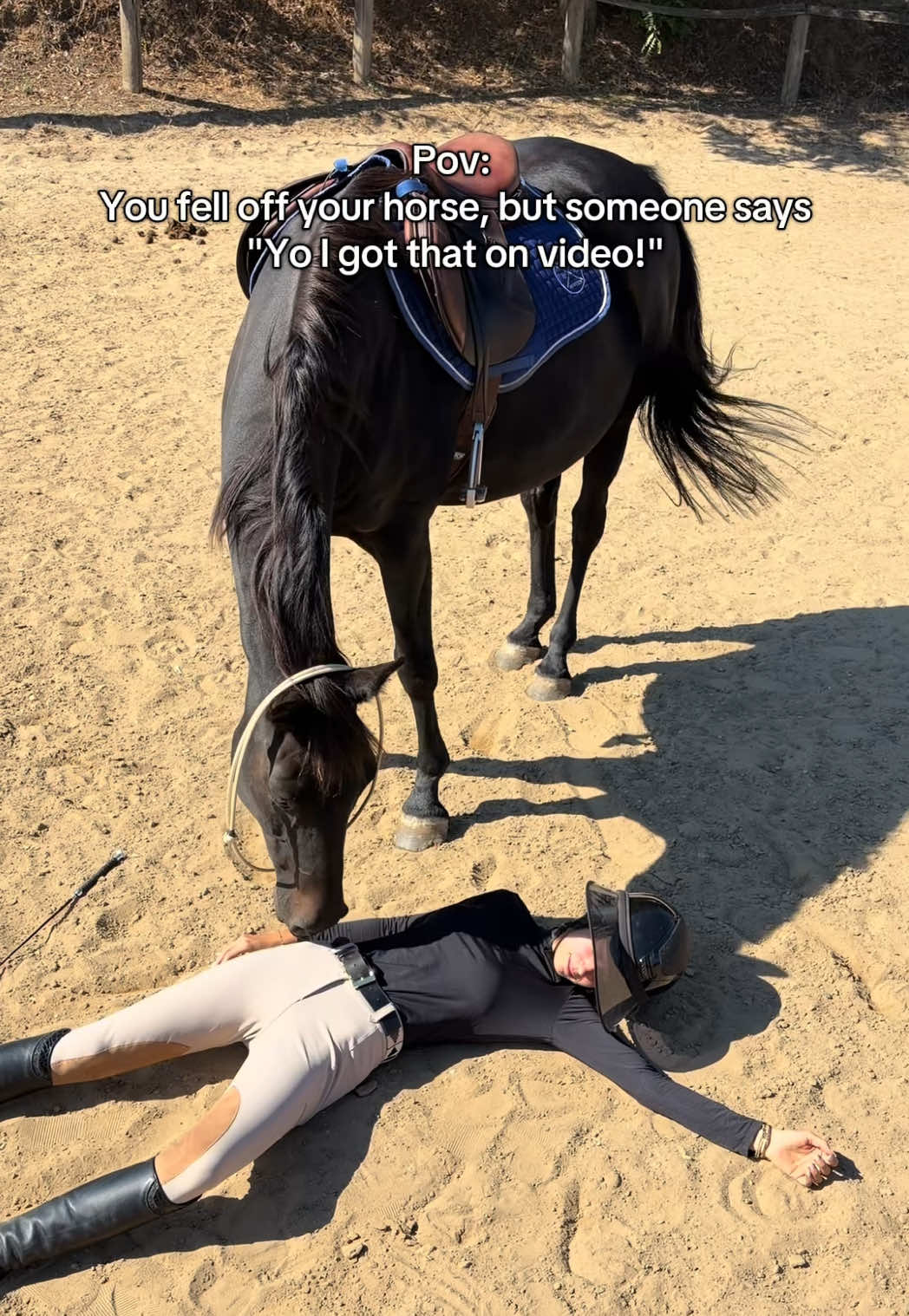 @Free Ride Equestrian