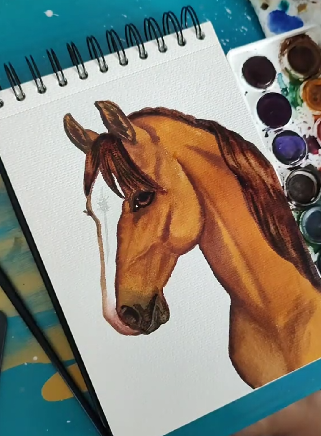 @🎨Kate Holloman🌱