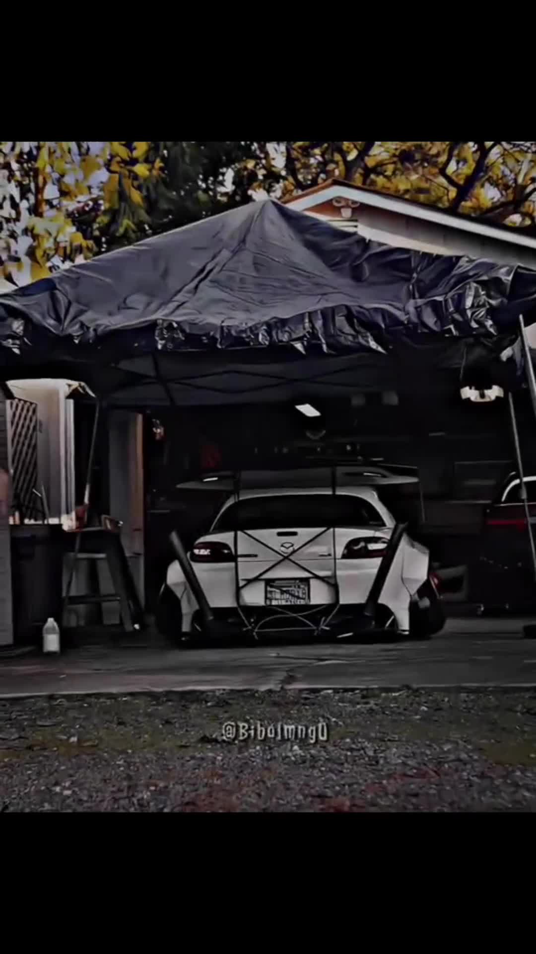 @Riley.benedict 6741