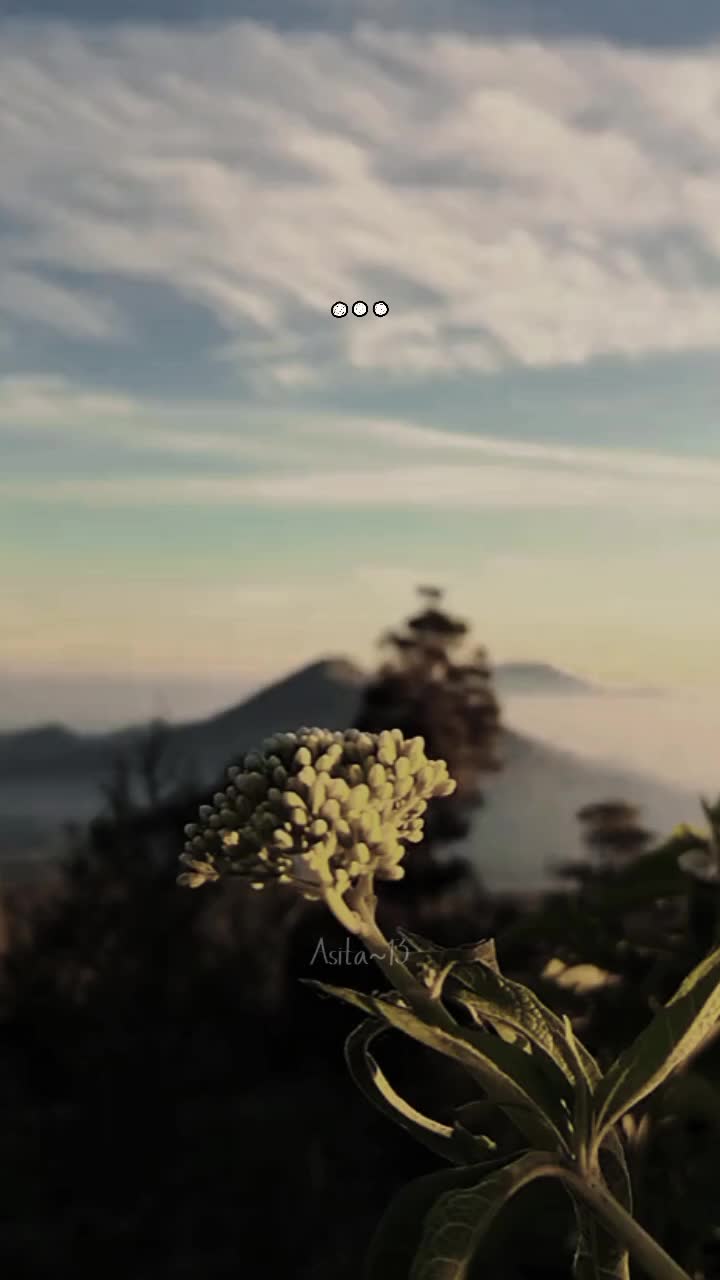 @mama belva cantik🌹