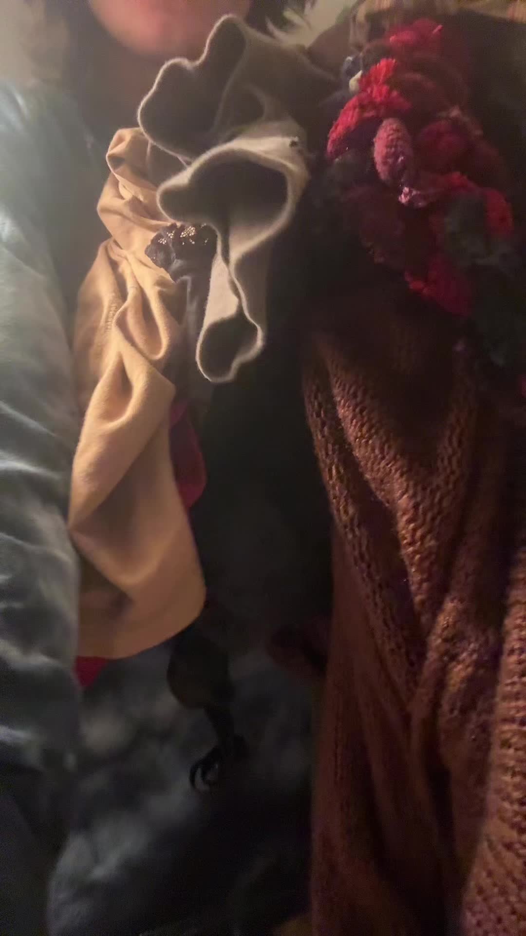 @l333ddy