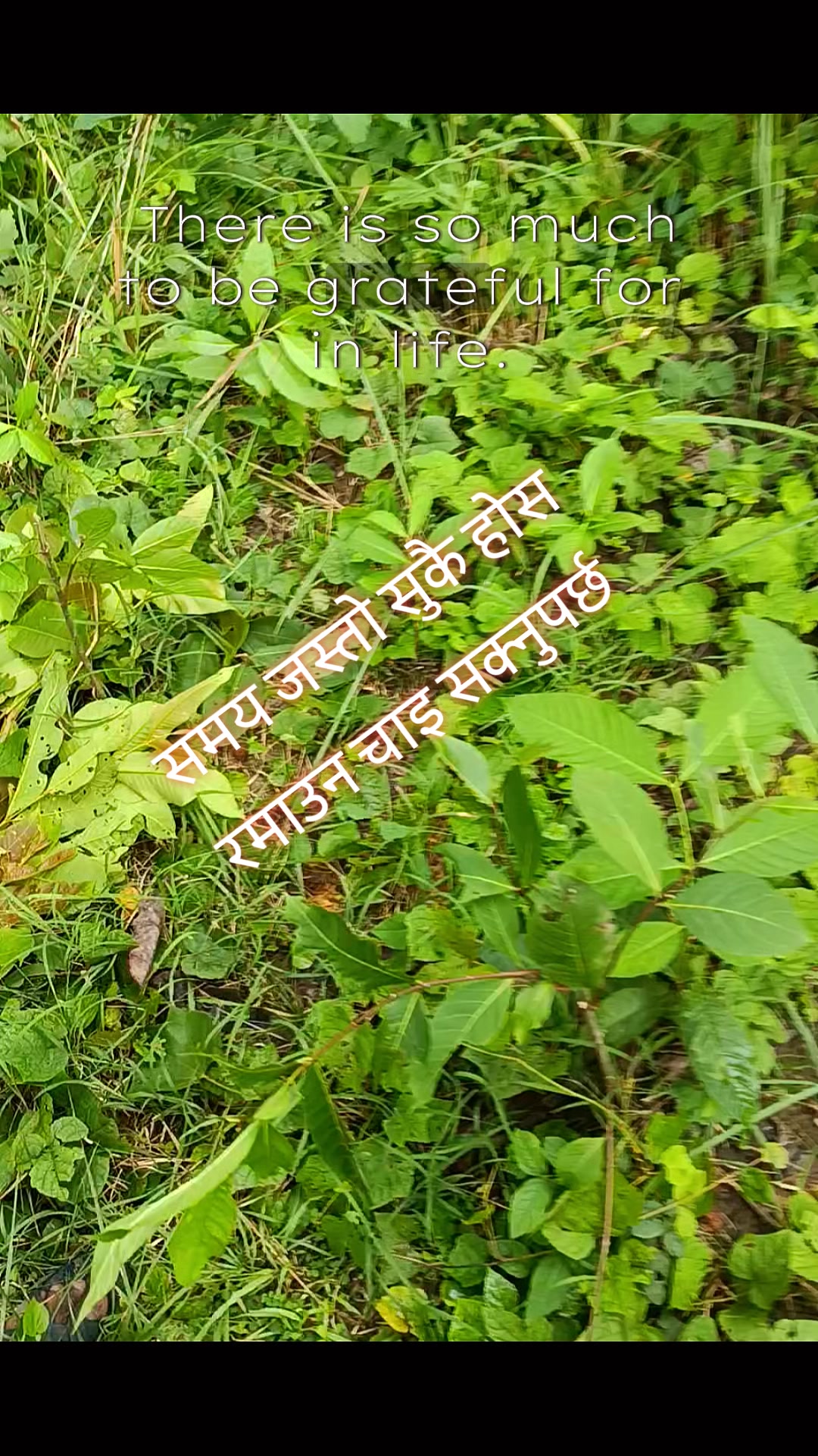 @खनाल कान्छो 🇳🇵❤️❤️