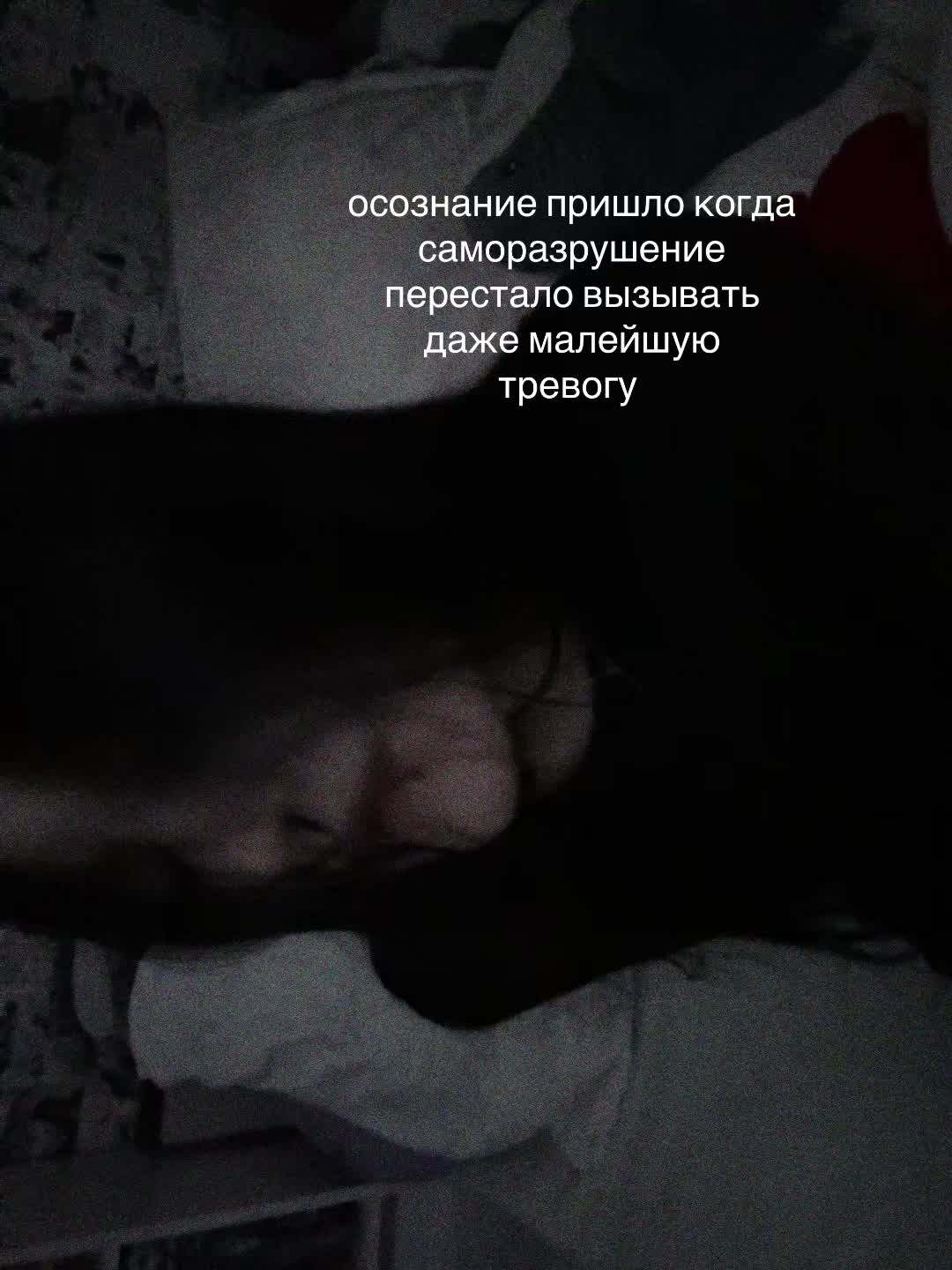 @cutsmurrh