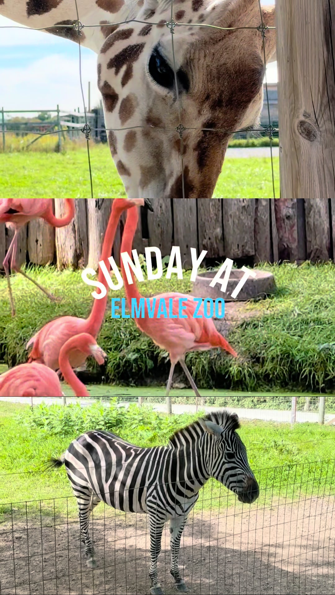 @TheTinyCozyLife