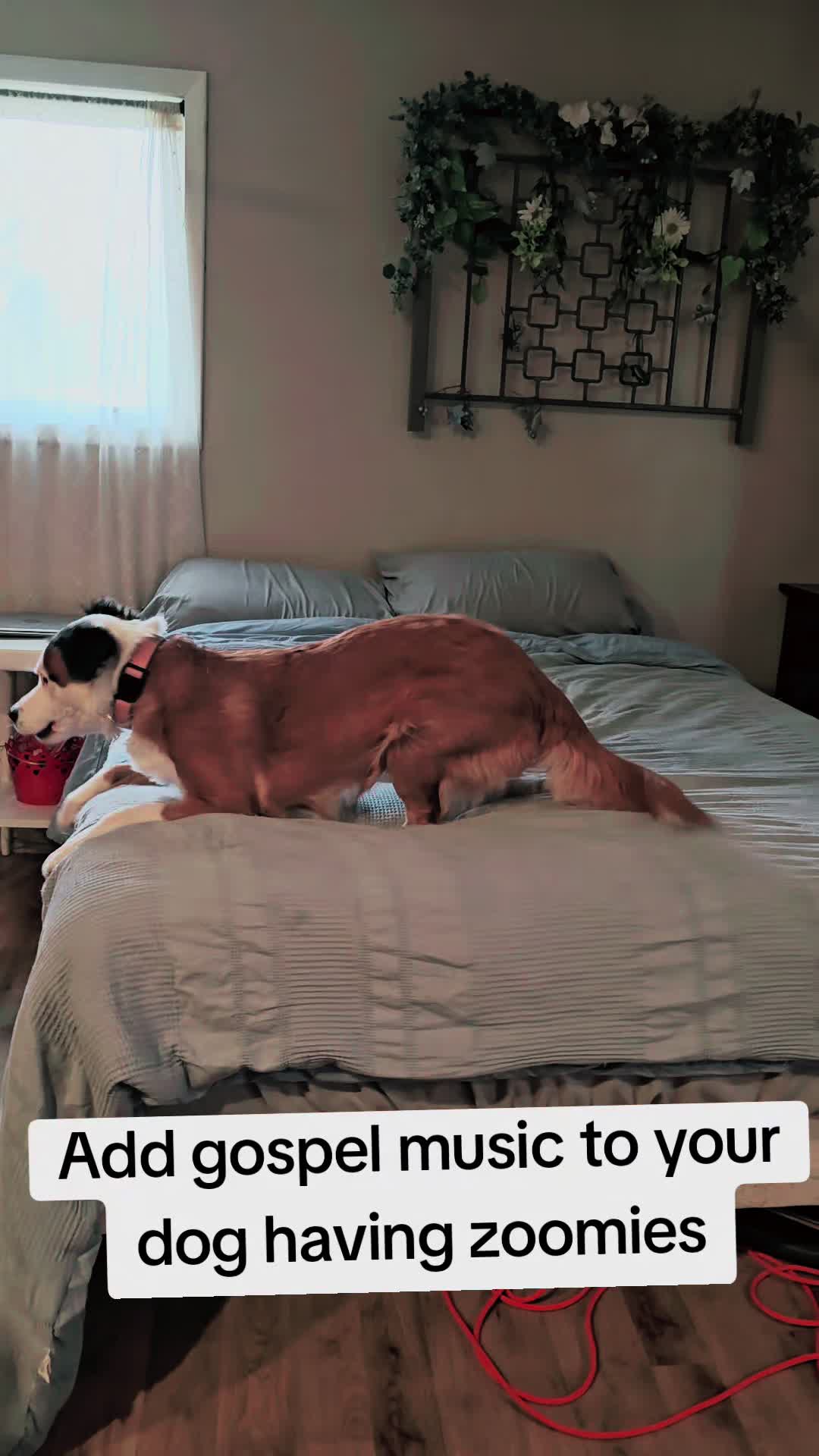 @NaeNae