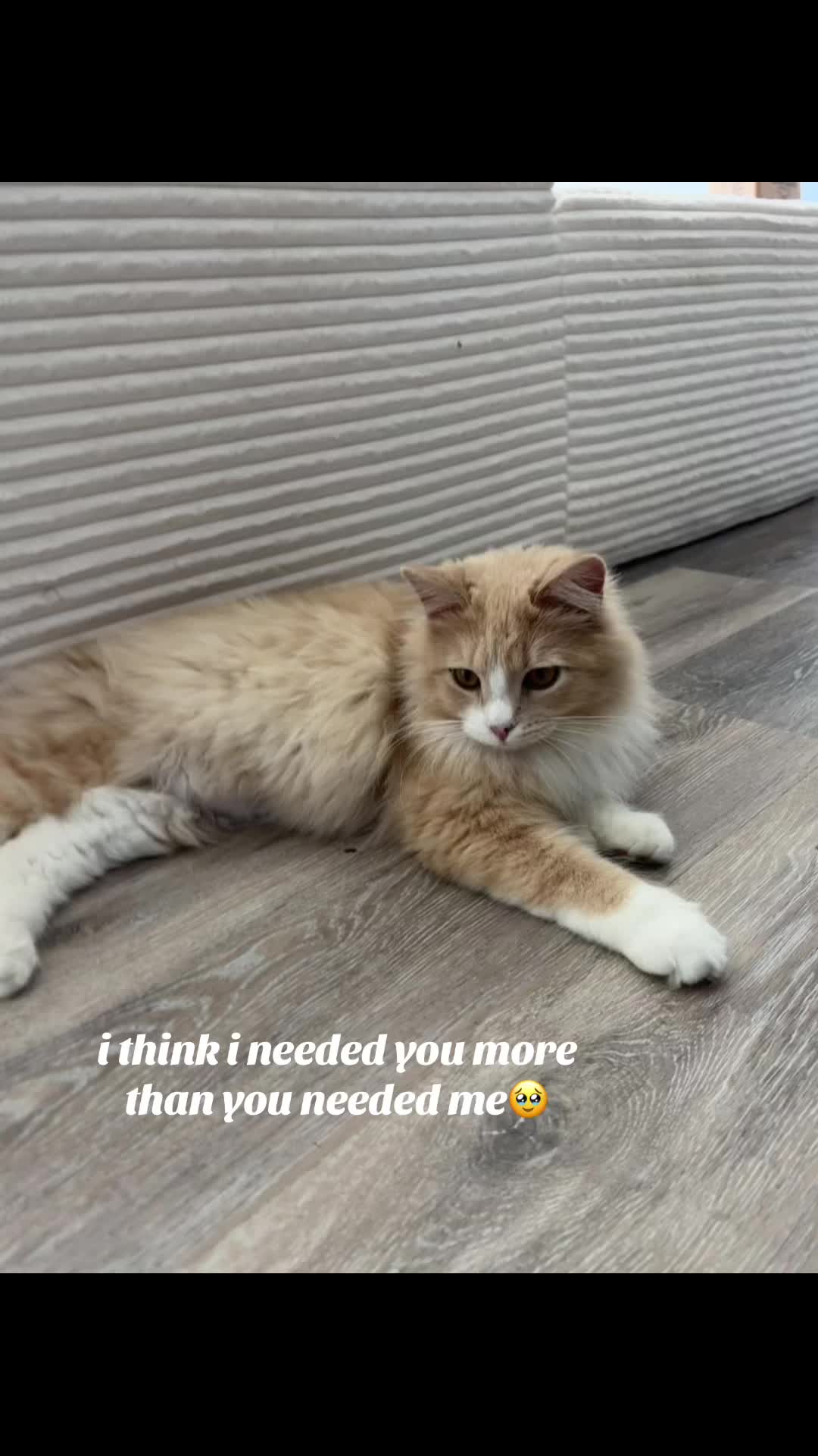 @kyra❣️