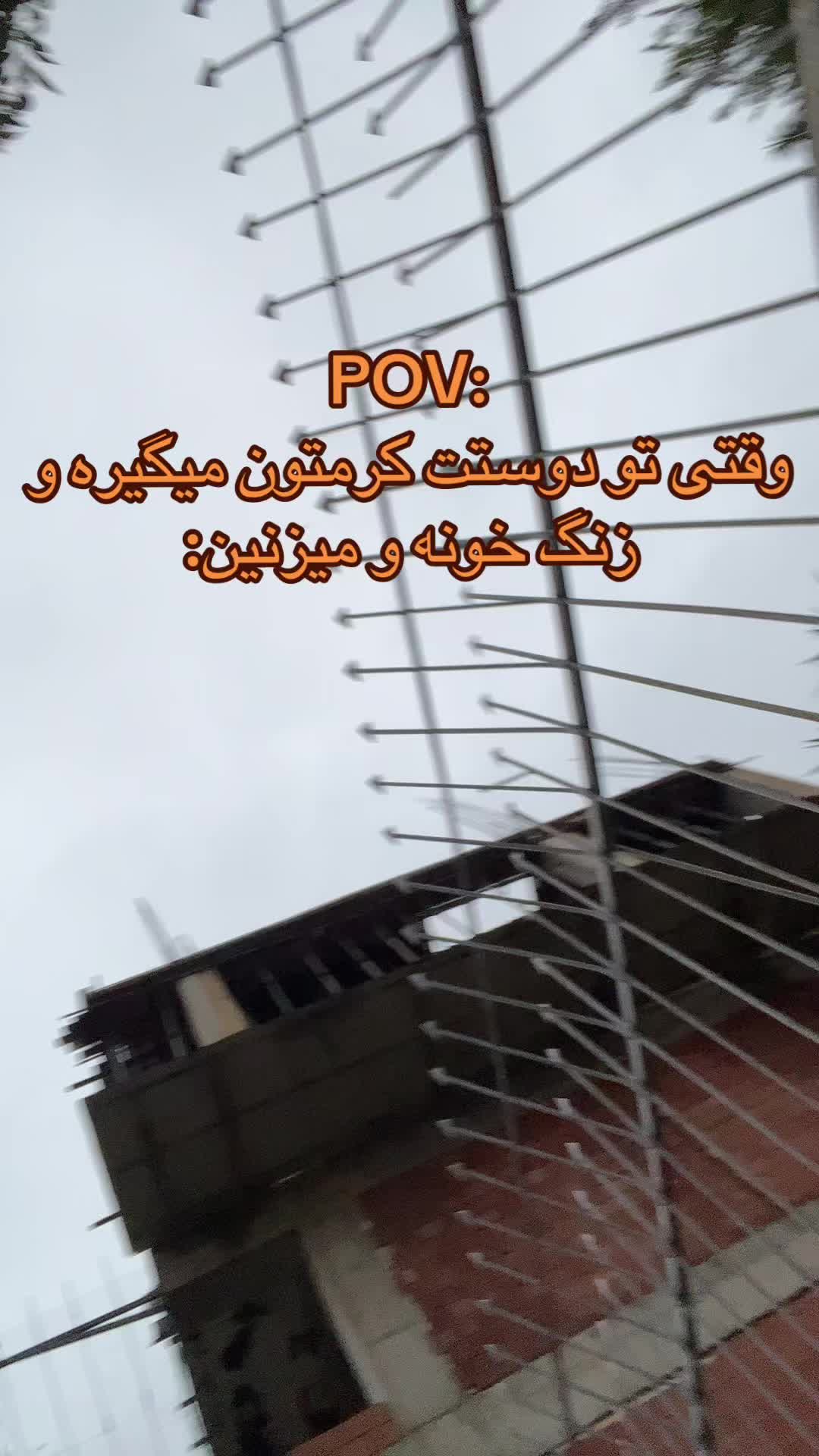 @Mehrsa