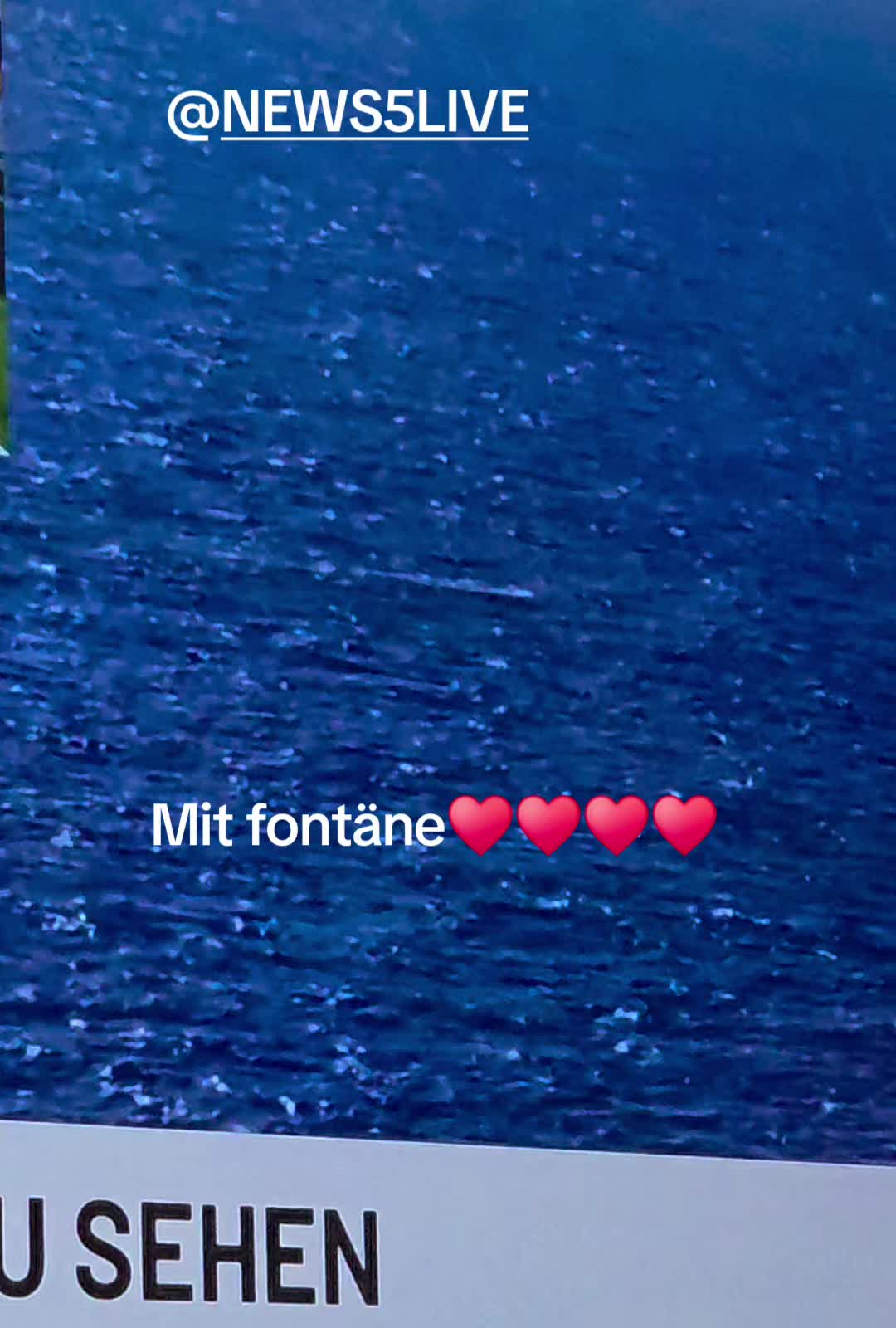 @🐳📚❤️DreamySusu❤️📚🐳
