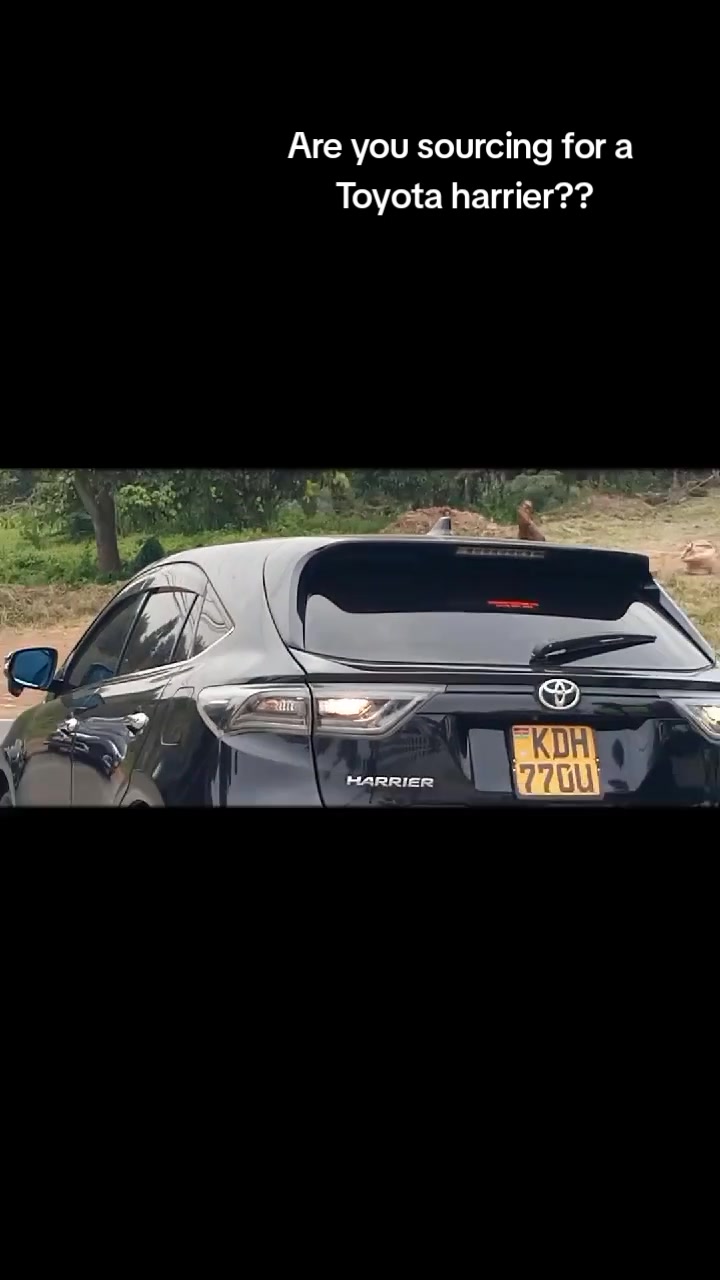 @Dream _Wheel_Dealers