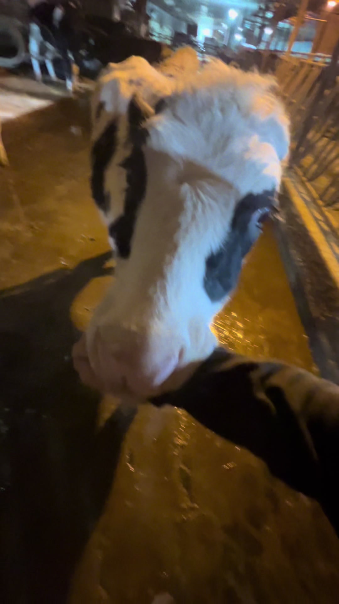 @RedOakAcres
