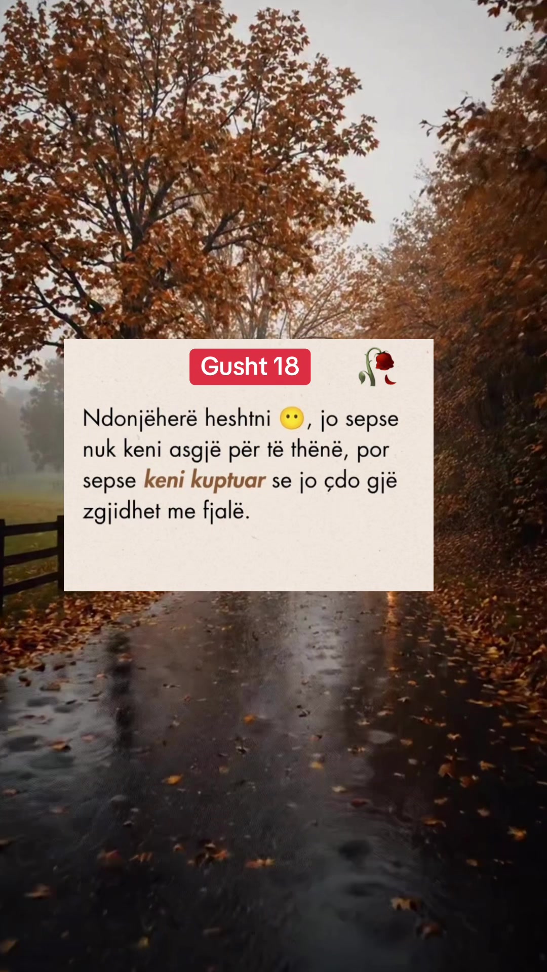 @Thenje Per Jeten🥀