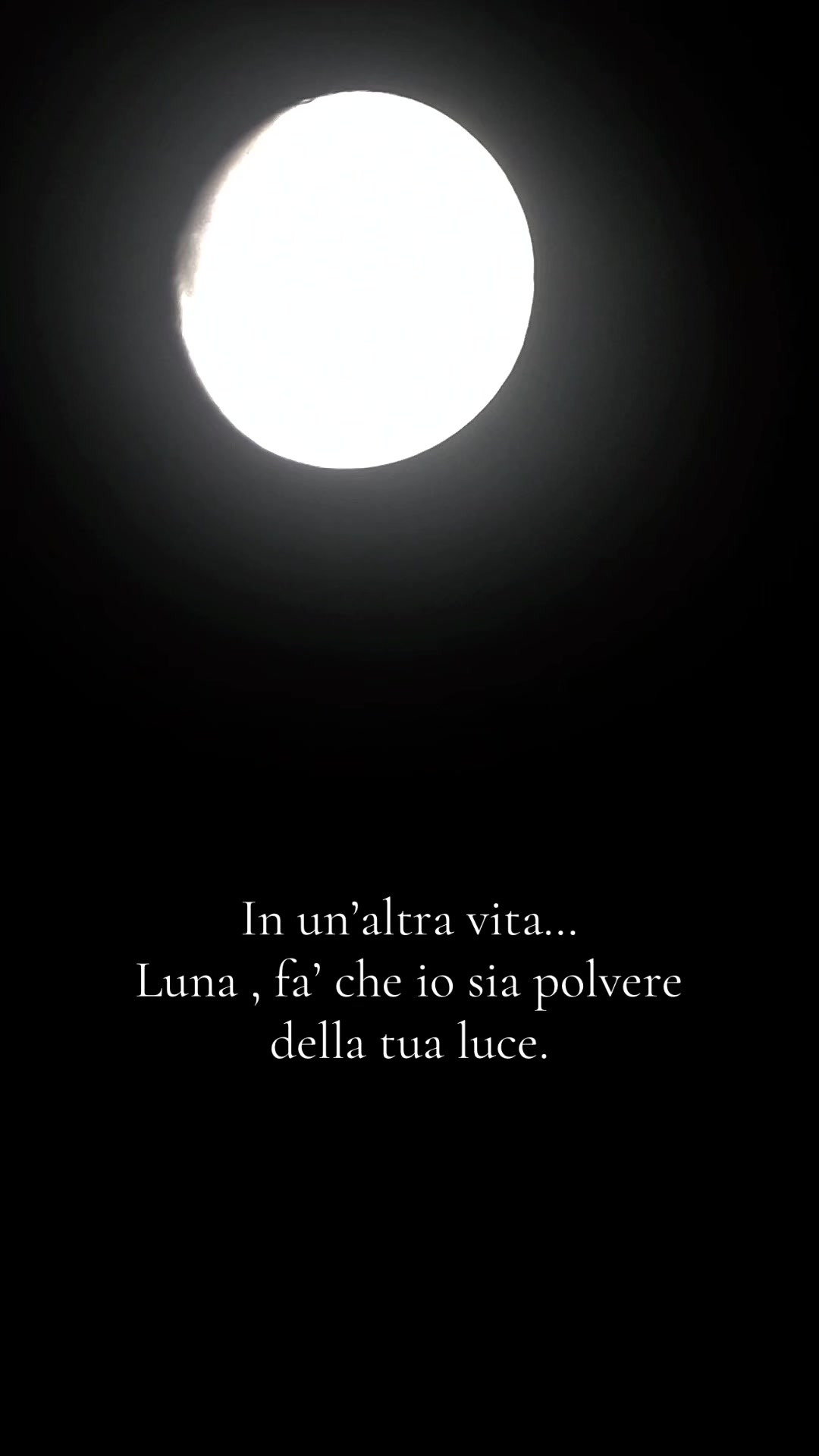 @Moon 🕷️