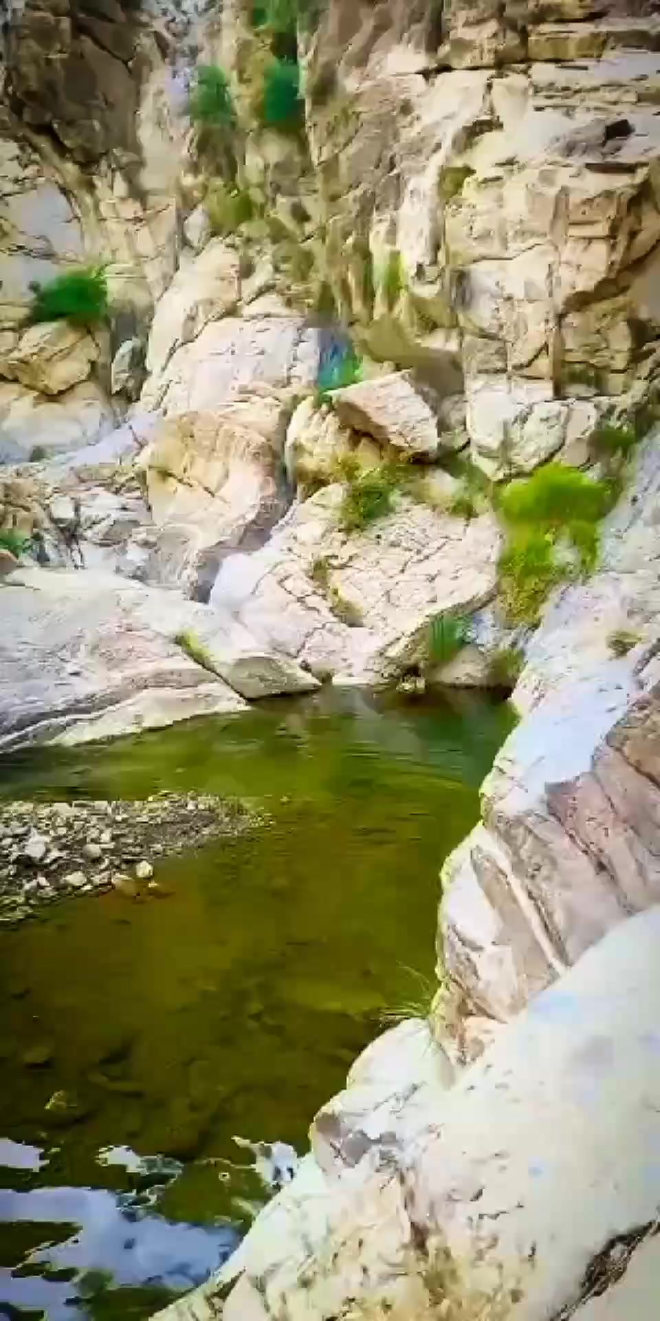@عـــــــــــزیز اللـہ جـــــان