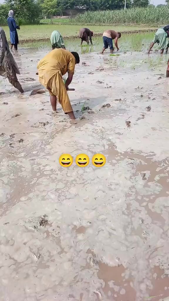 @amanullah 🥀🥀 512 375📸 برانڈ