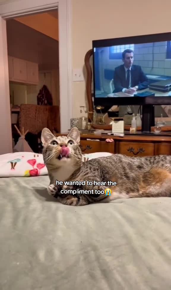 @𝓔𝓶𝓮𝓵𝔂