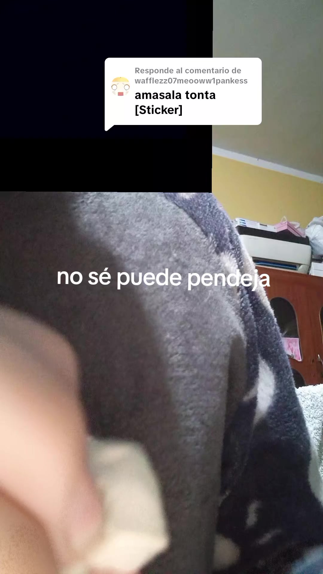 @🦐nto!
