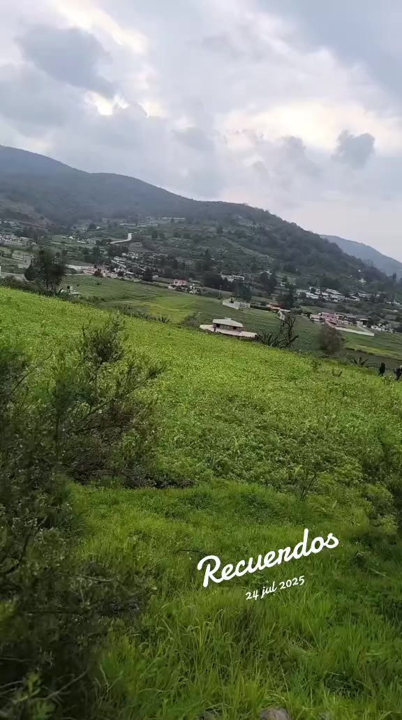 @Tesa Teza