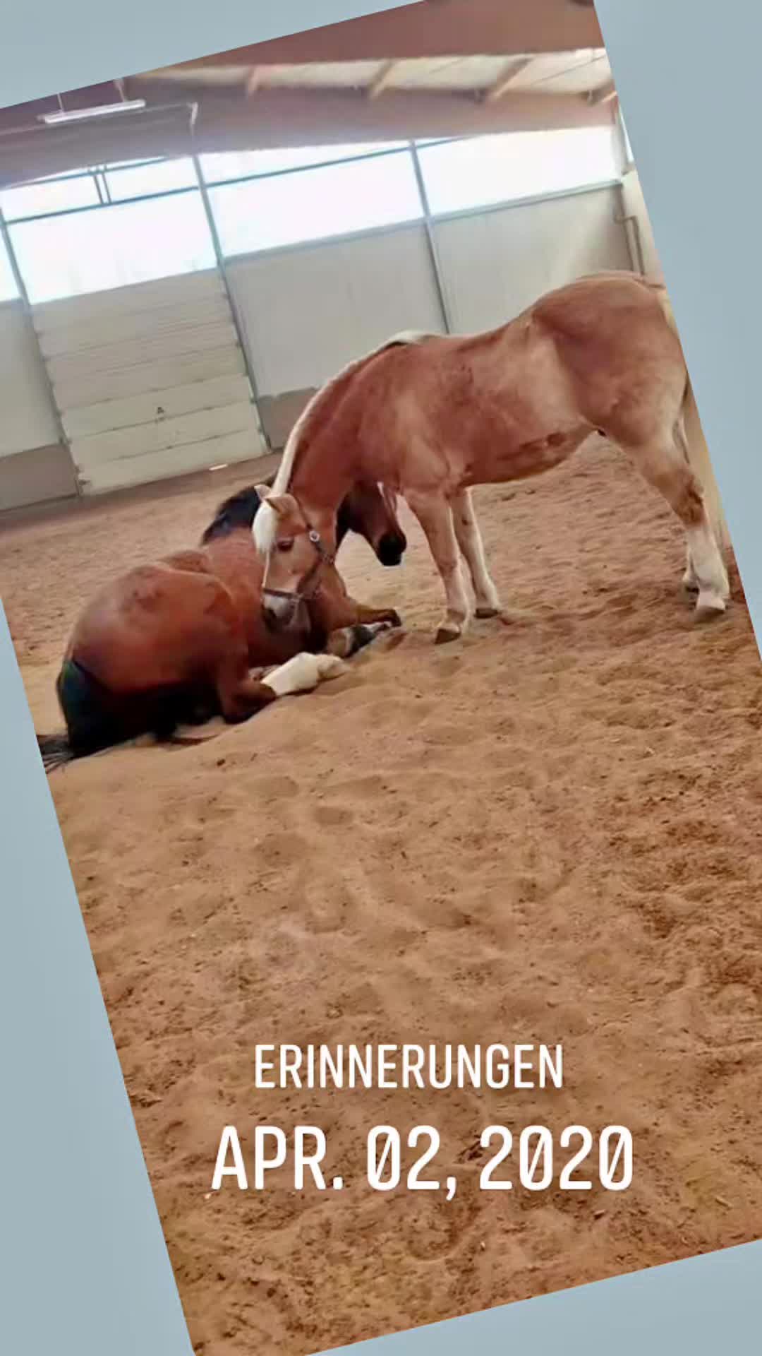 @Petra