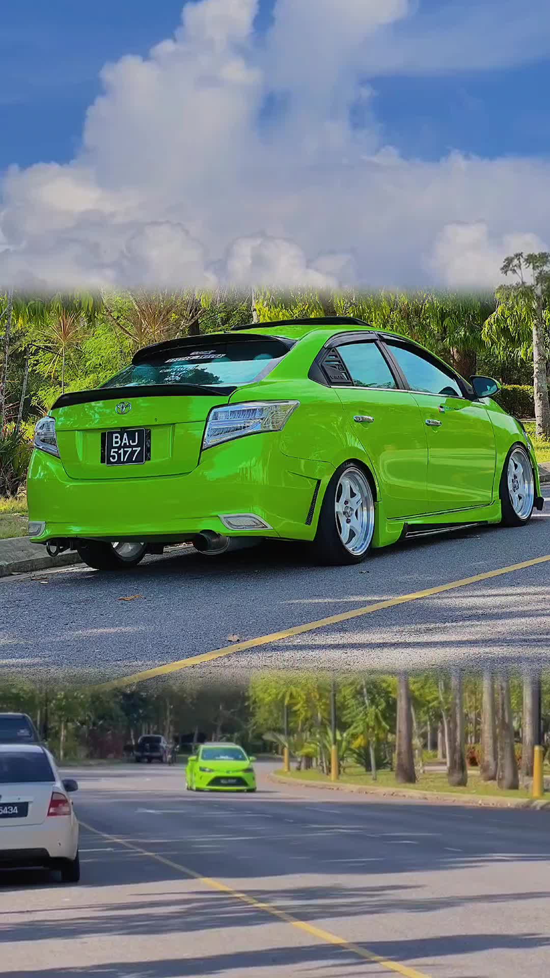 @LimeGreen🐊