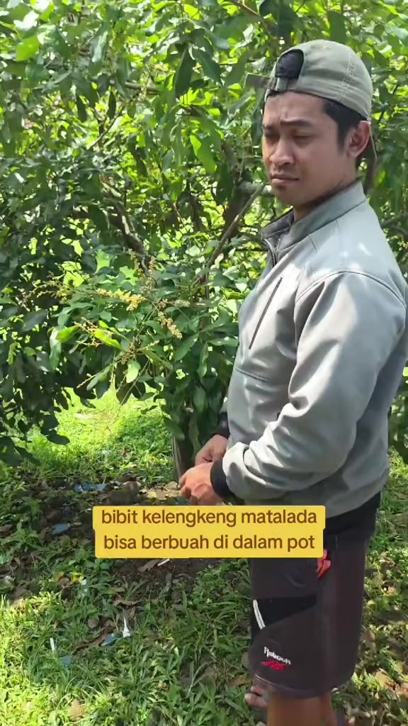 @Toko berkah jaya