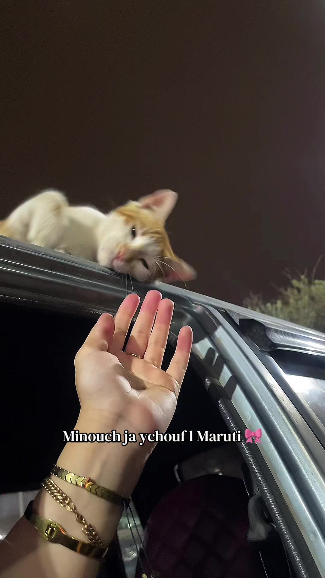 @kookooo🩷🎀