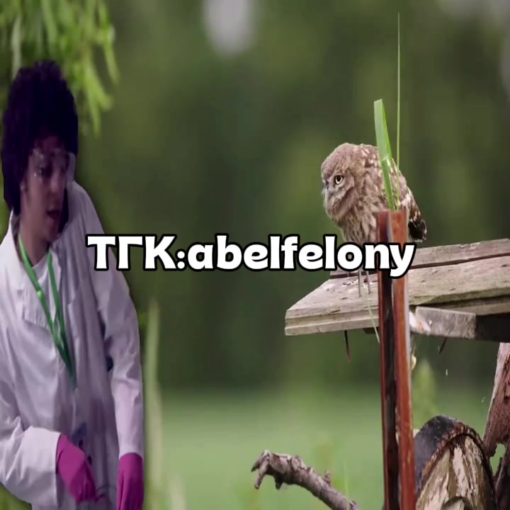 @тгк:abelfelony
