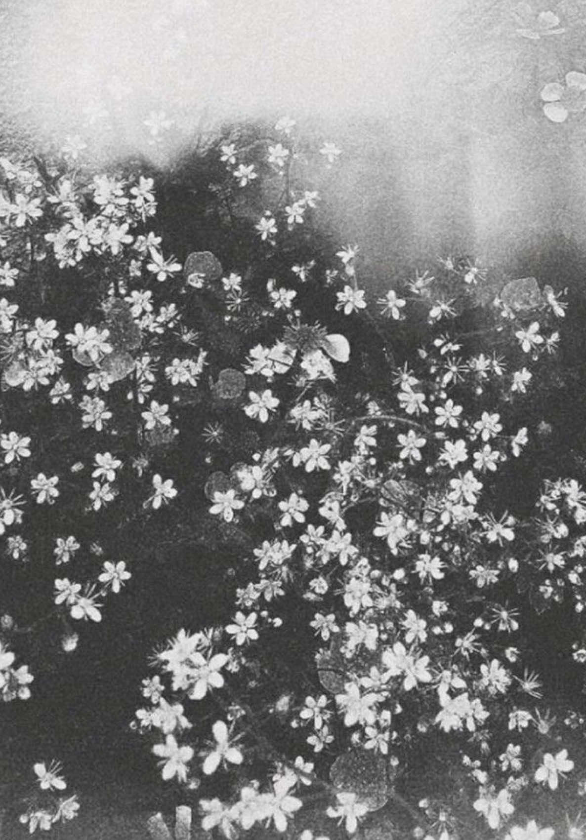 @ᴴˢᶜrain 𝜗𝜚˚