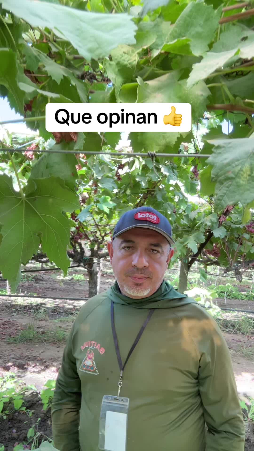 @Gustavo