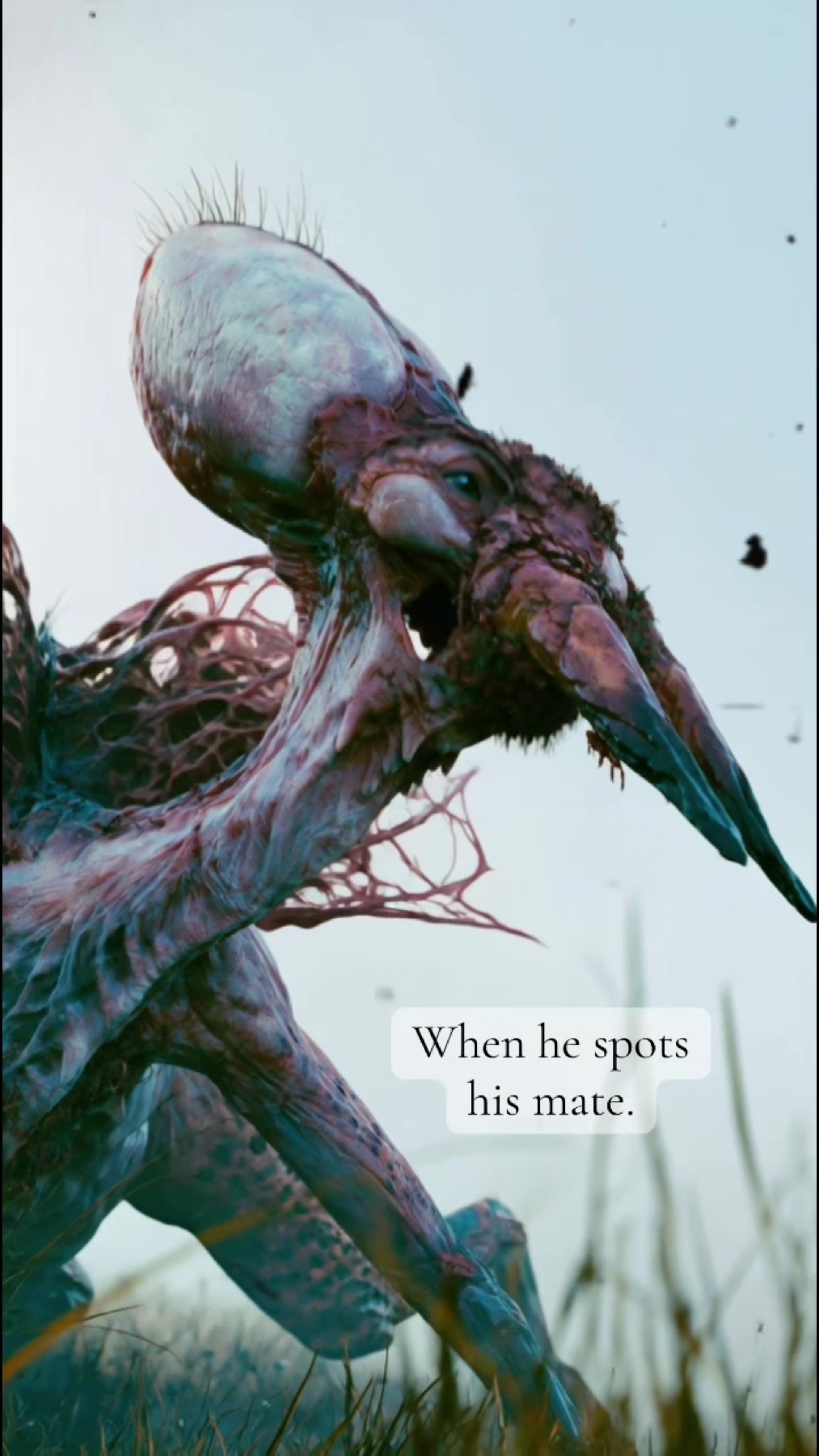 @ExoplanetWildlife
