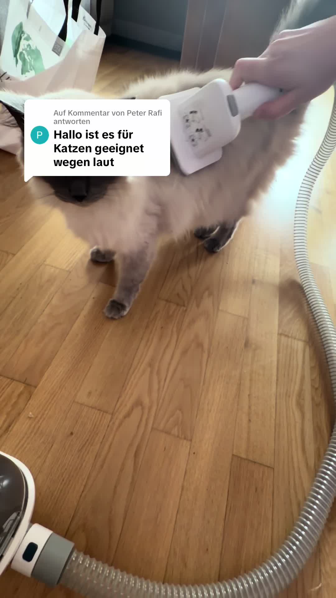 @Braunici