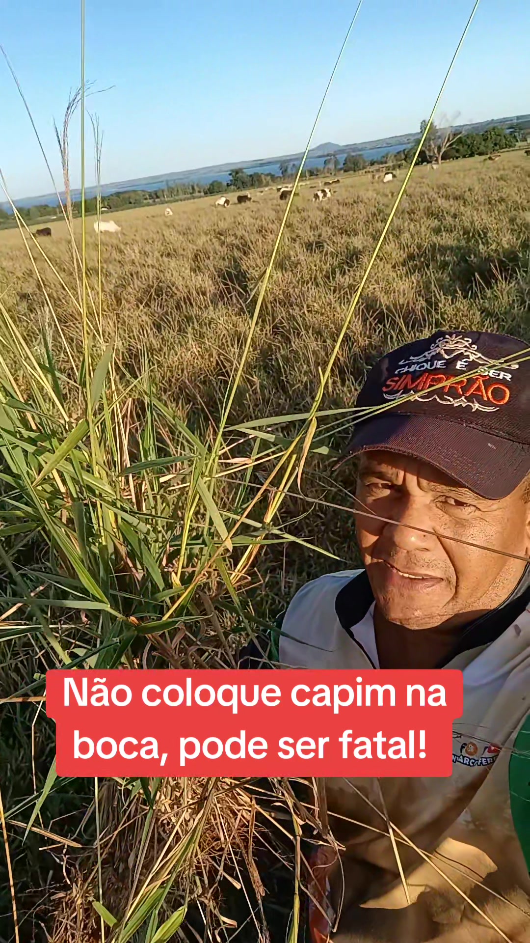 @Antônio Marcos Ferreira