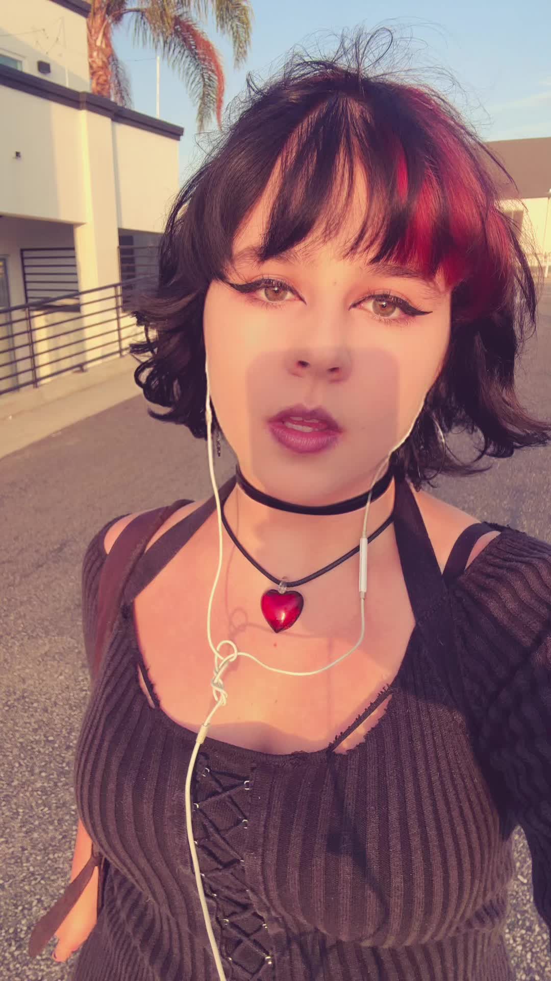 @lasagna