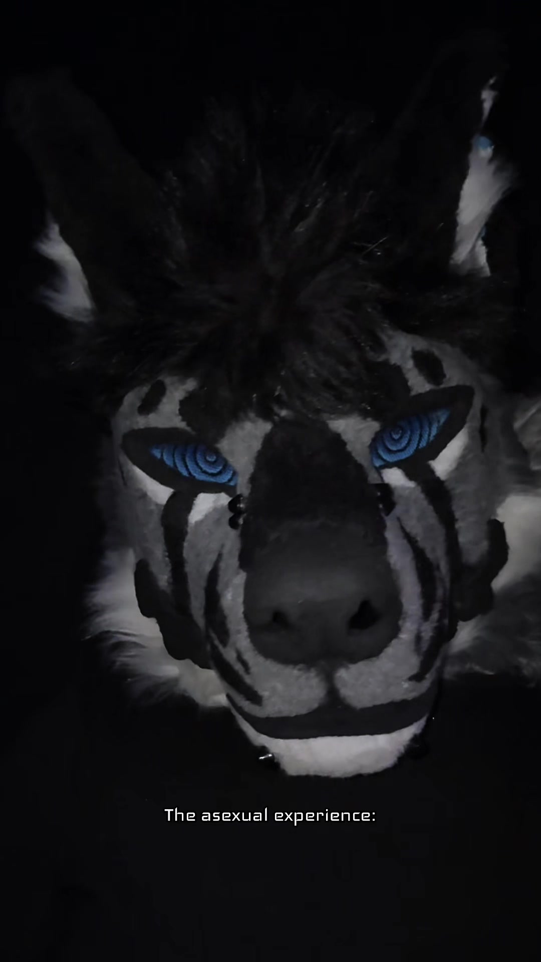 @sonar_hyena_shark