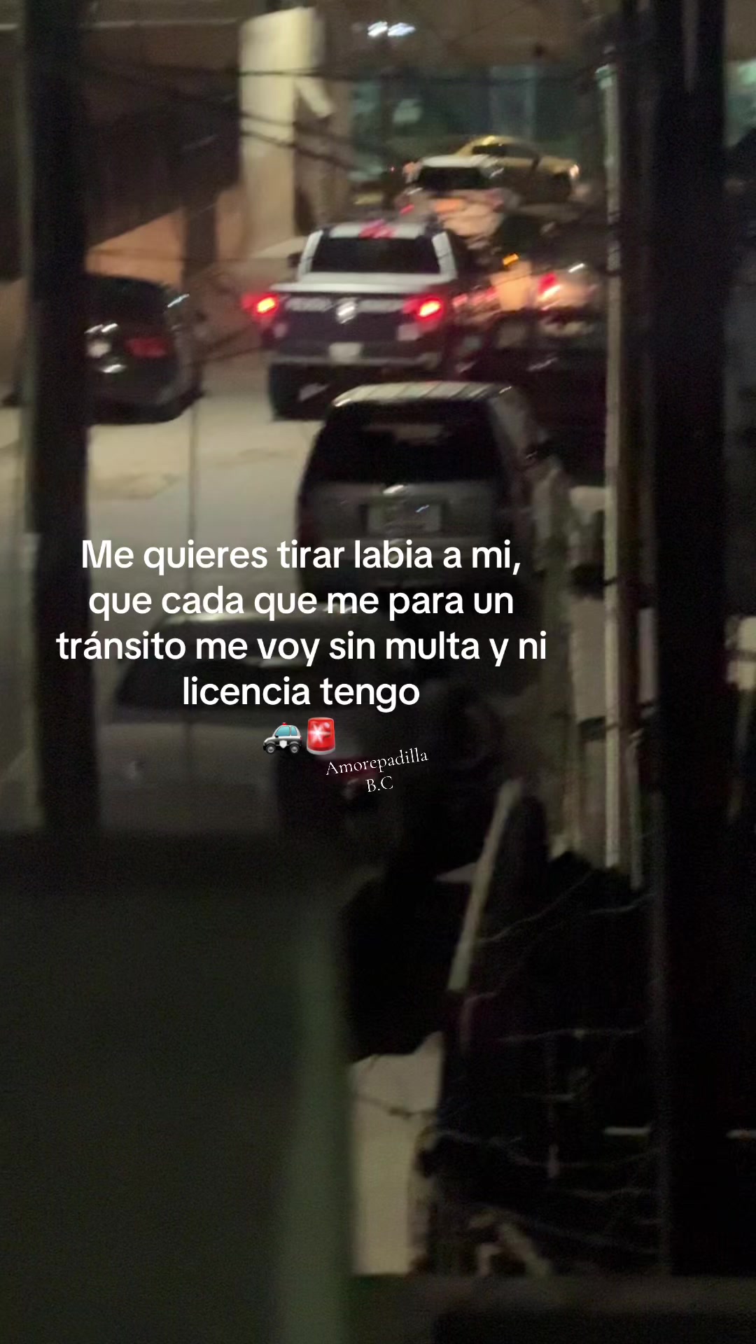 @🫅🏻 🪺🦗Padilla Amore 🪺🪺