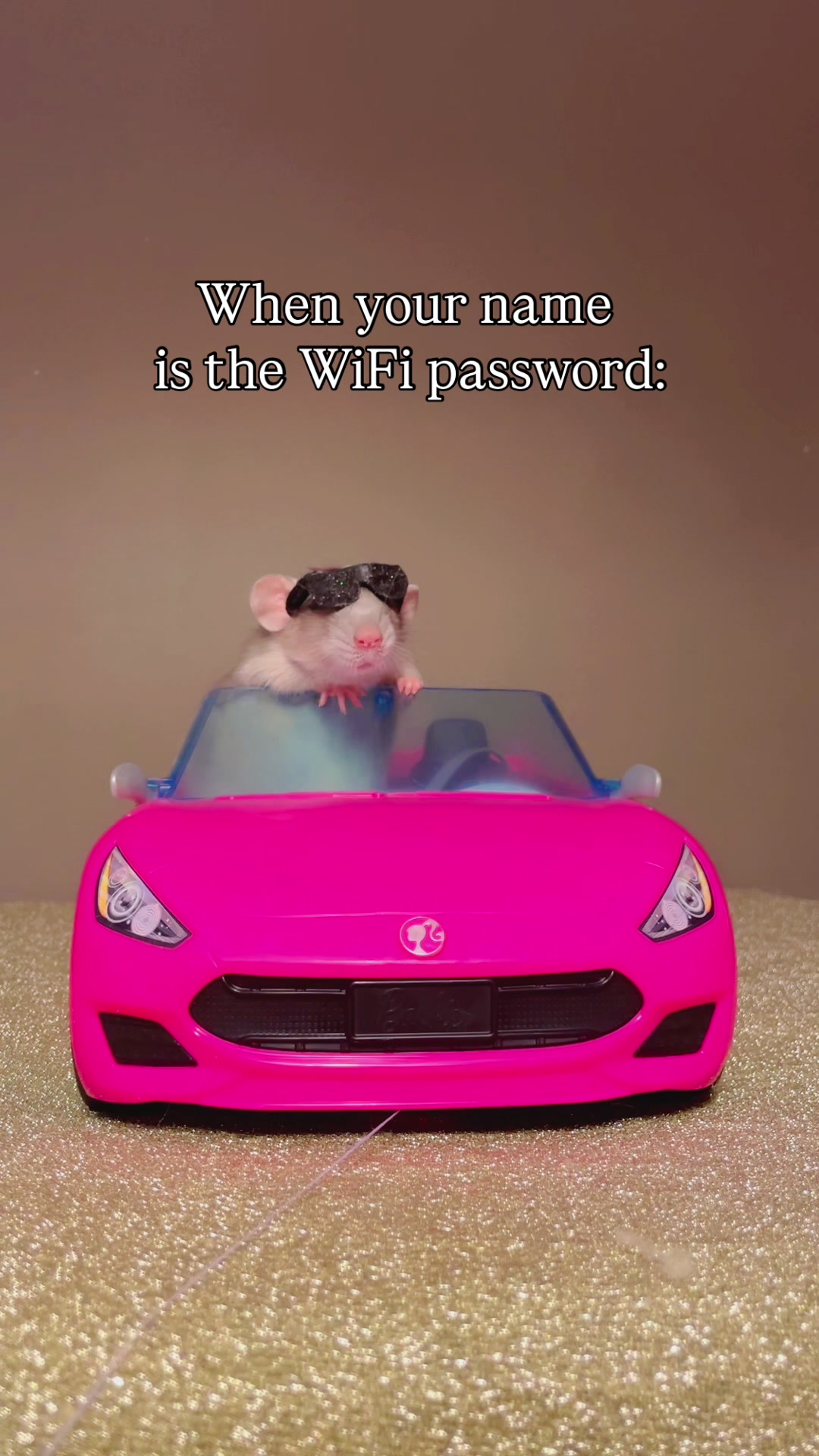 @RatsHaveFeelingsToo