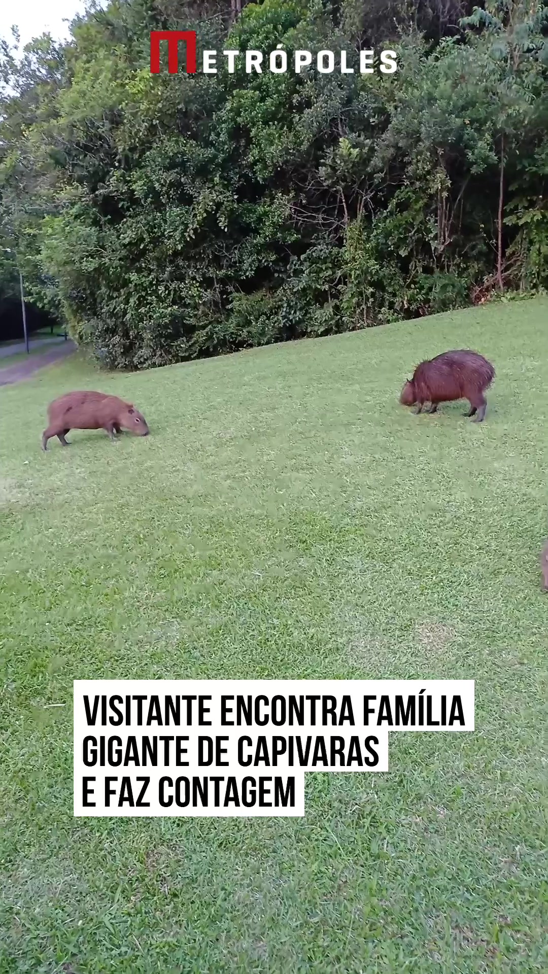 @Metrópoles Oficial