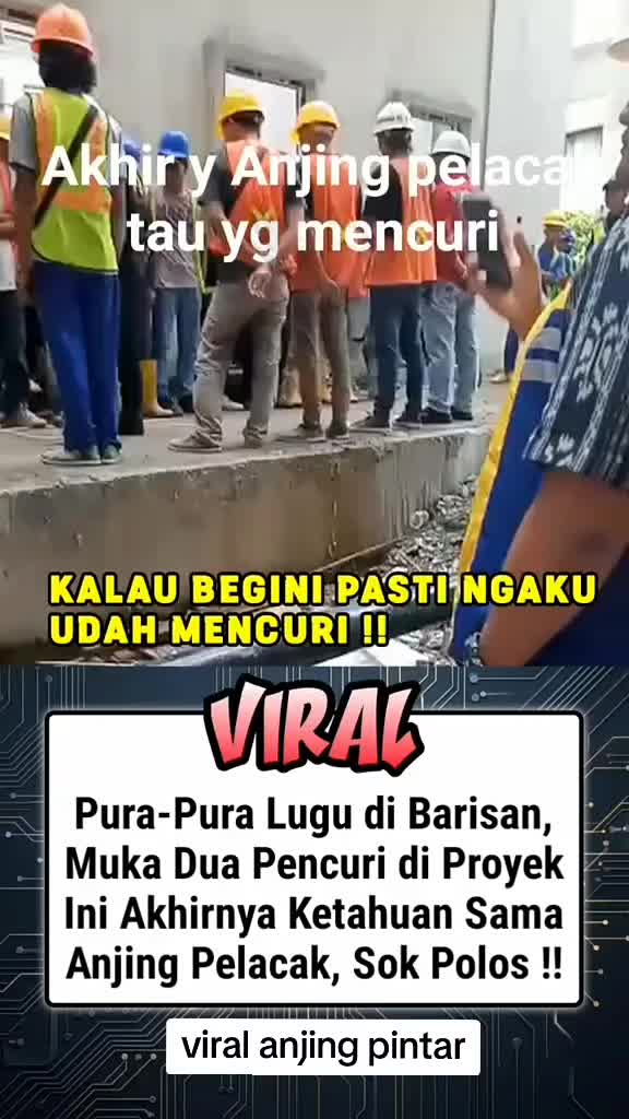 @INFO HARI INI 🇮🇩