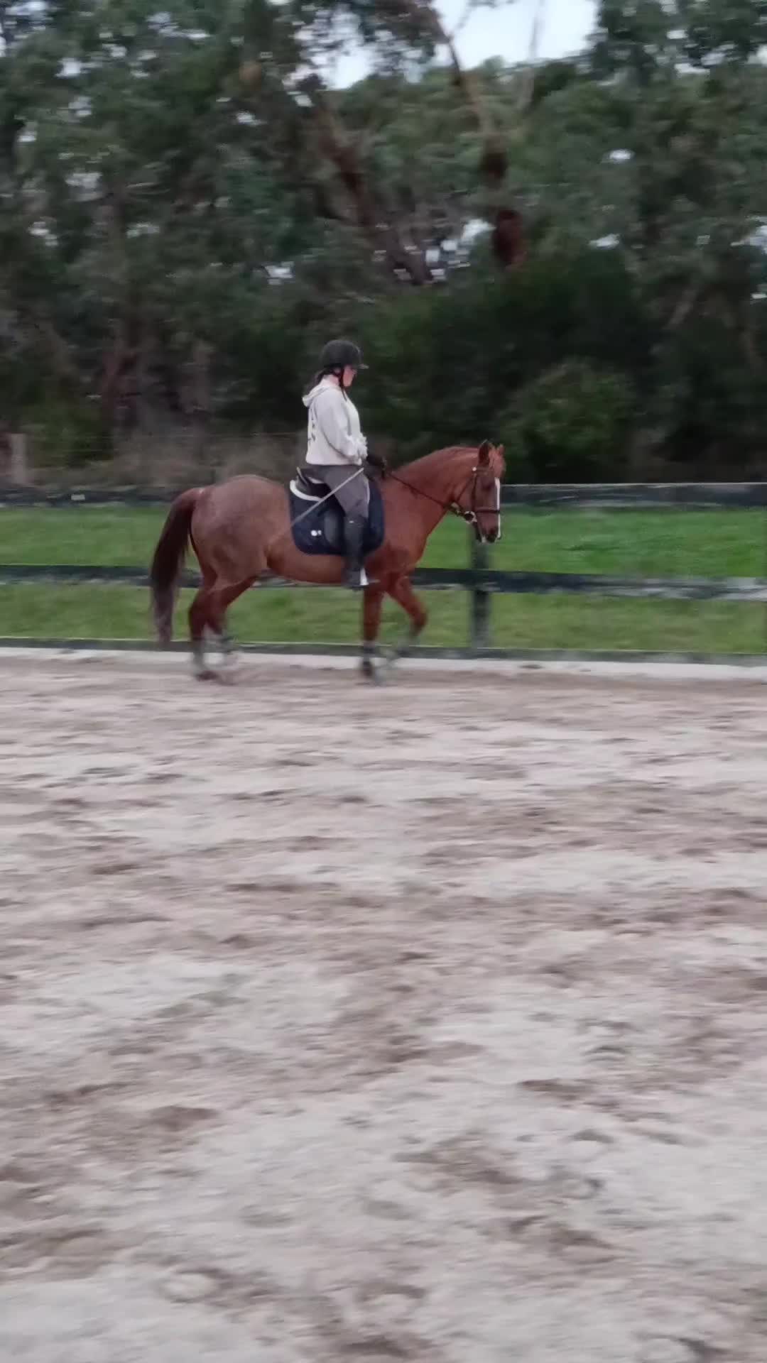 @Pip_equestruan9