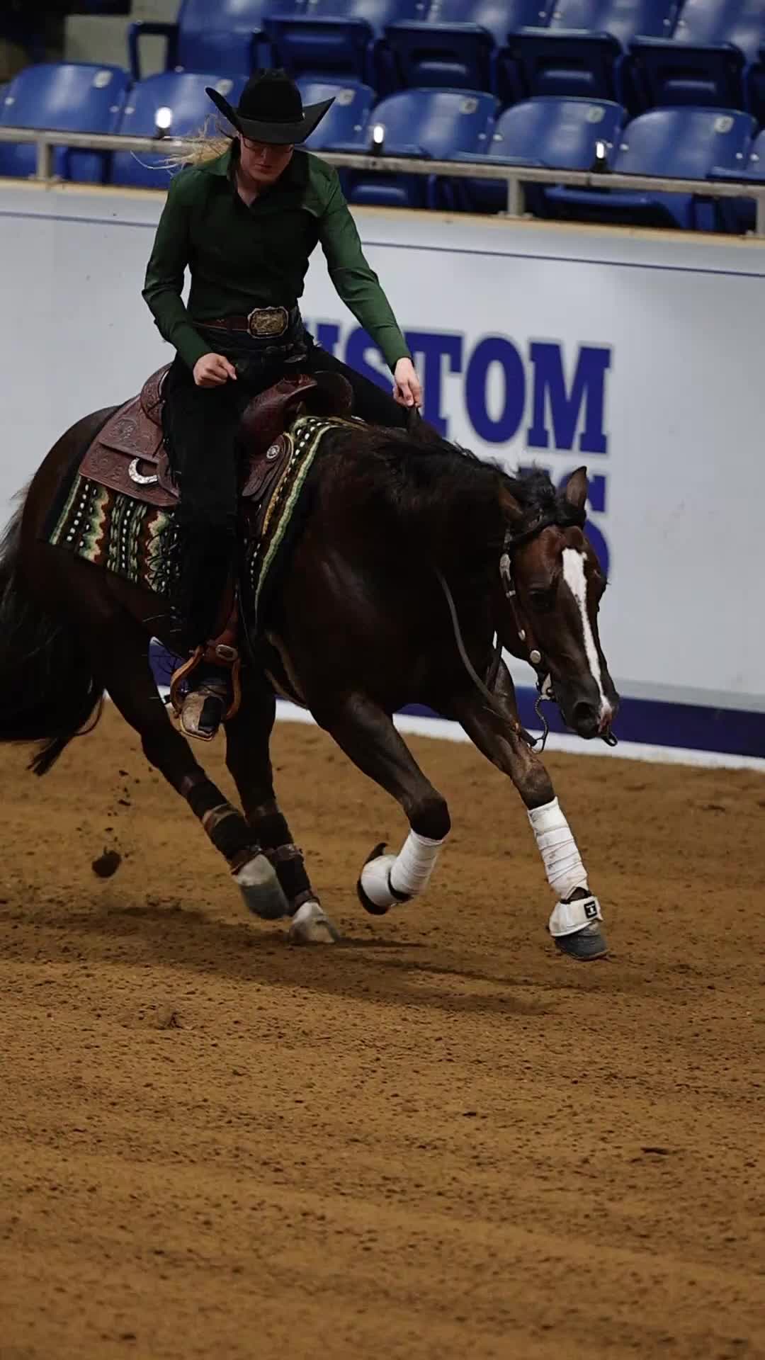 @Tom McCutcheon Reining Horses