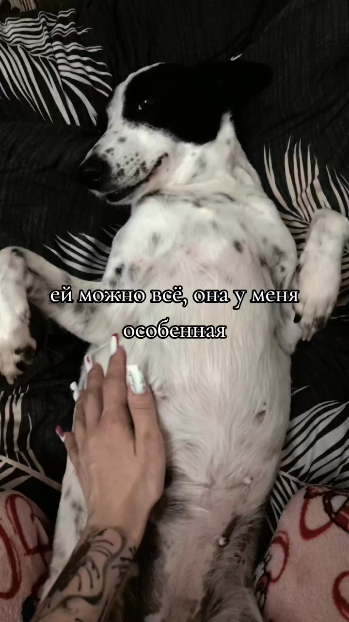 @hdfnn
