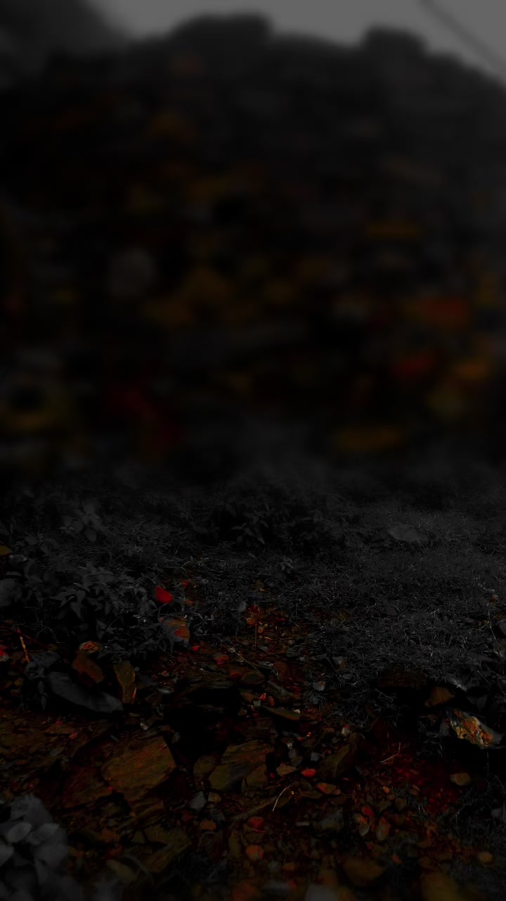@𝑀𝑂𝐻𝐴𝑀𝑀𝐴𝐷
