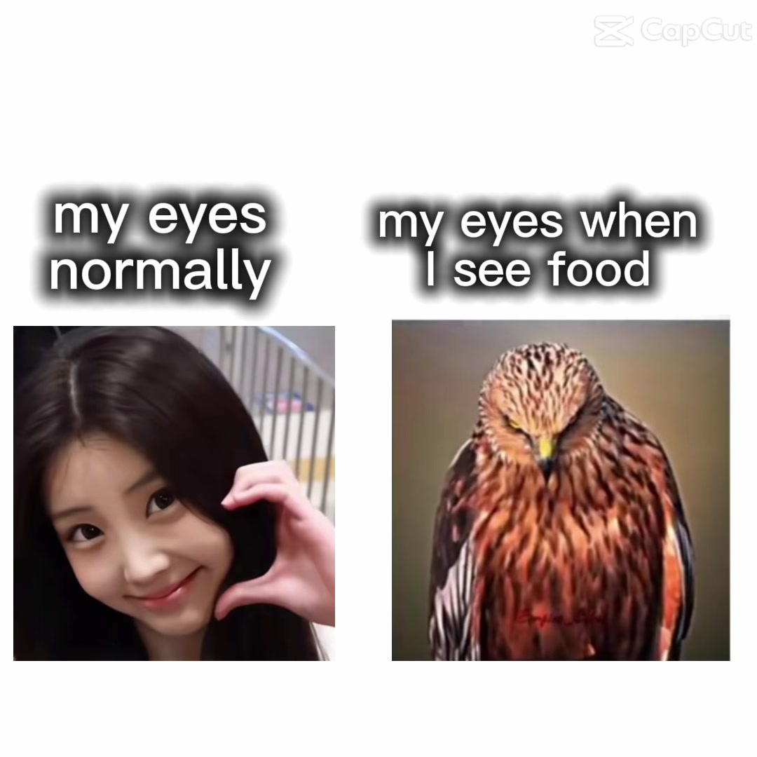 @⋆。˚꒰ঌ໒꒱˚。⋆